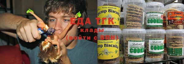 хмурый Абаза