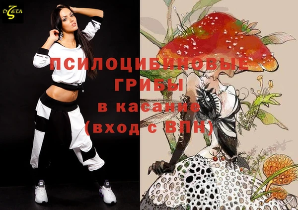 дмт Алзамай